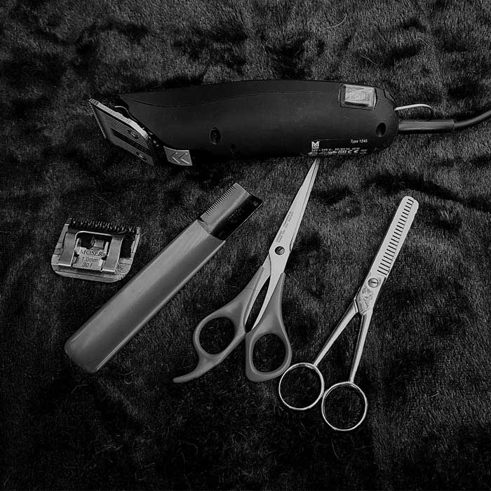 Кейс: Продвижение груминг-салона Милорд