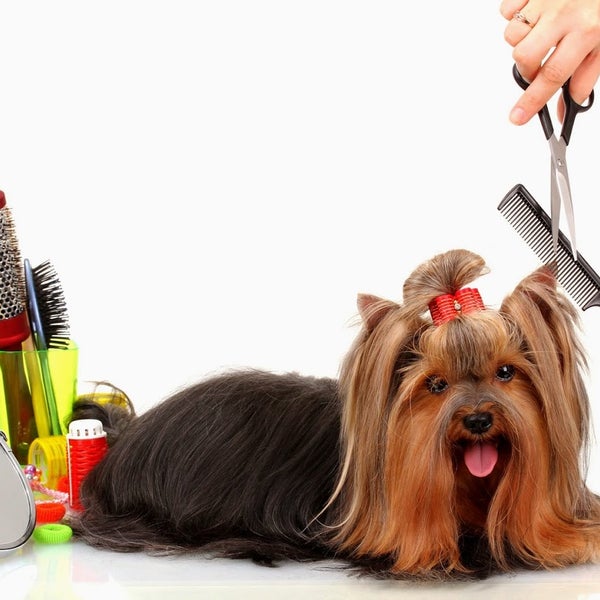 Кейс: Продвижение Space Groom Academy