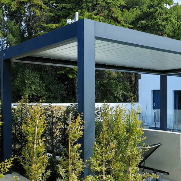 Продвижение Markiza Queen